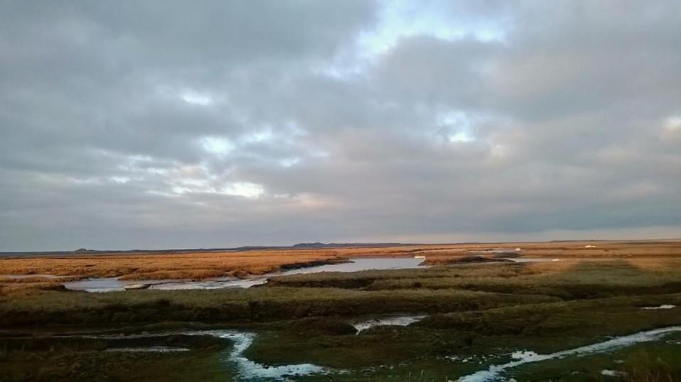 No 52 'Sea Holly' Holkham Bed & Breakfast Wells-next-the-Sea Екстериор снимка