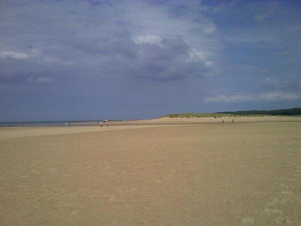 No 52 'Sea Holly' Holkham Bed & Breakfast Wells-next-the-Sea Екстериор снимка